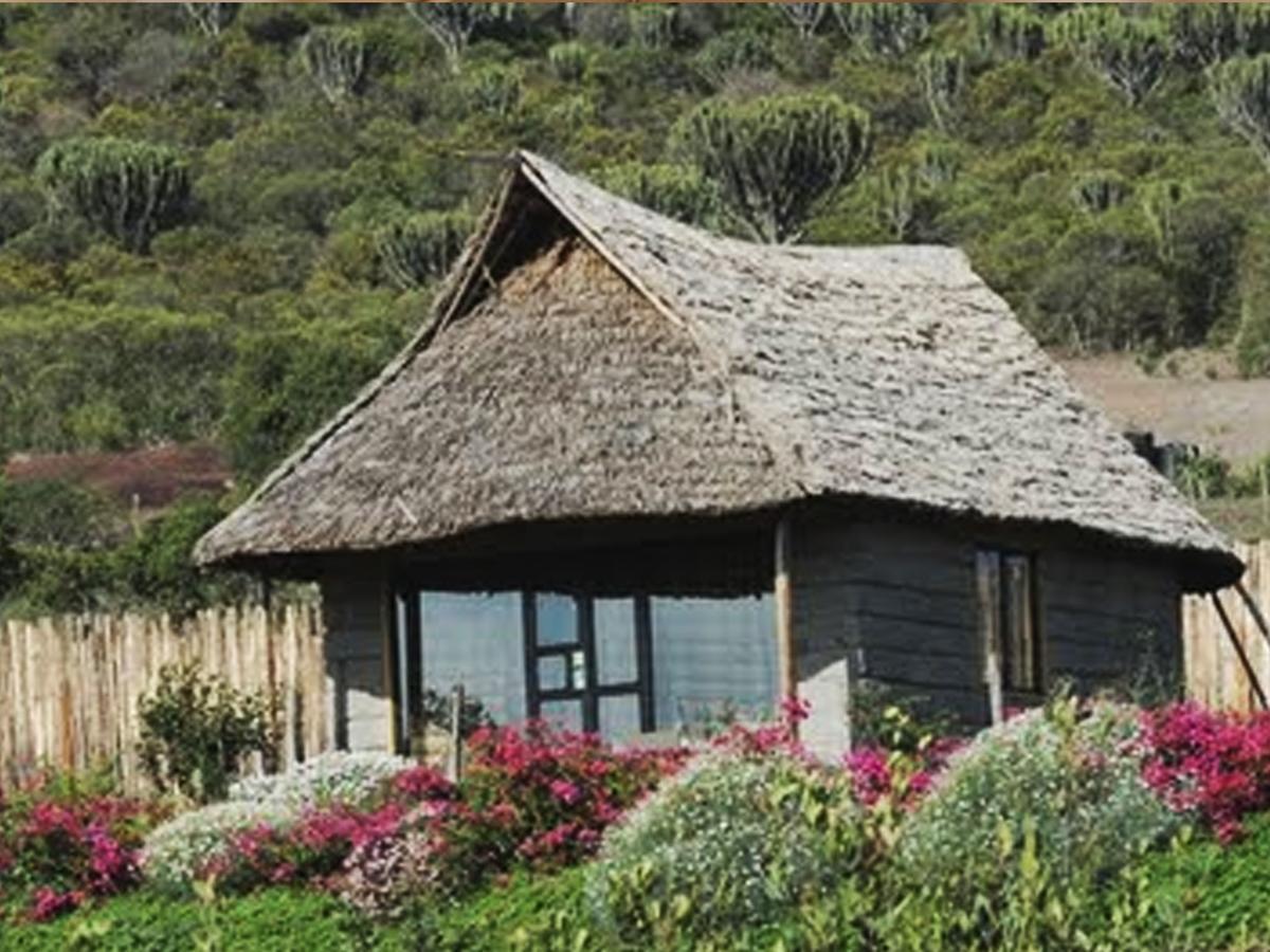 Rhino Watch Safarilodge Mweiga Pokoj fotografie